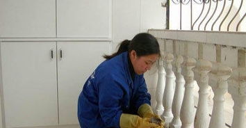 誠信家政服務(wù)部,全心全意的保潔服務(wù)讓生活一塵不染